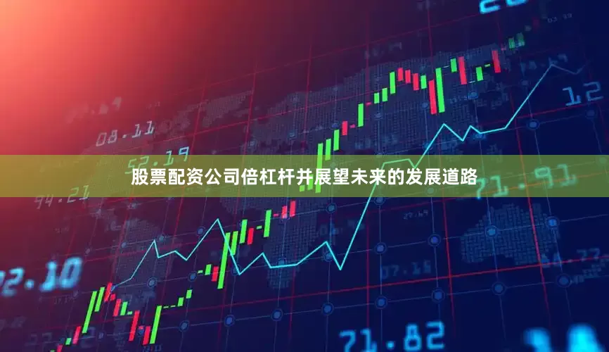 股票配资公司倍杠杆并展望未来的发展道路