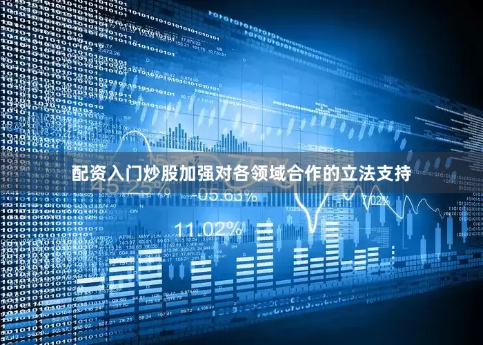 配资入门炒股加强对各领域合作的立法支持