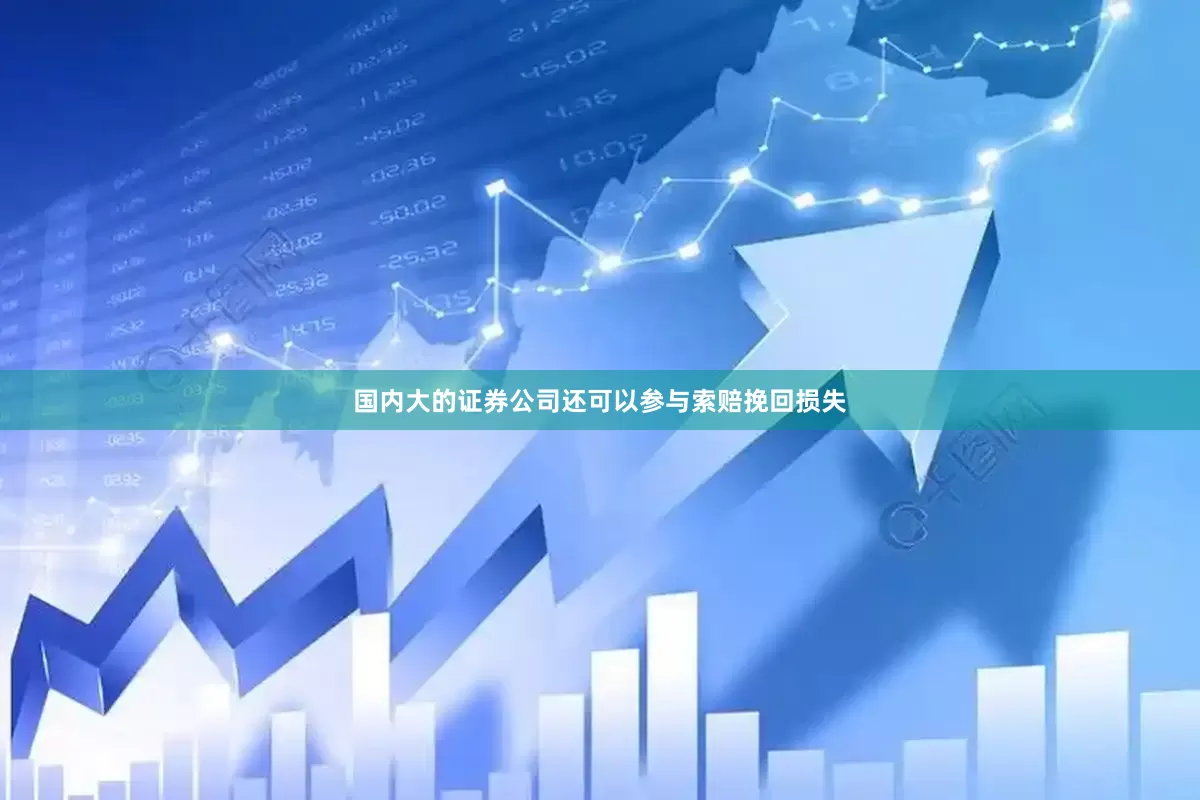 国内大的证券公司还可以参与索赔挽回损失